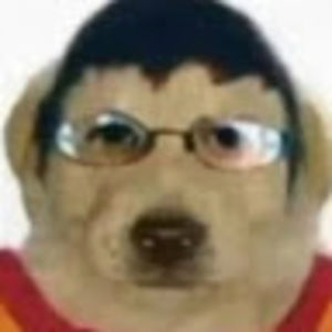 Meet your Posher, Carter